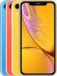 Apple iPhone XR Remontas